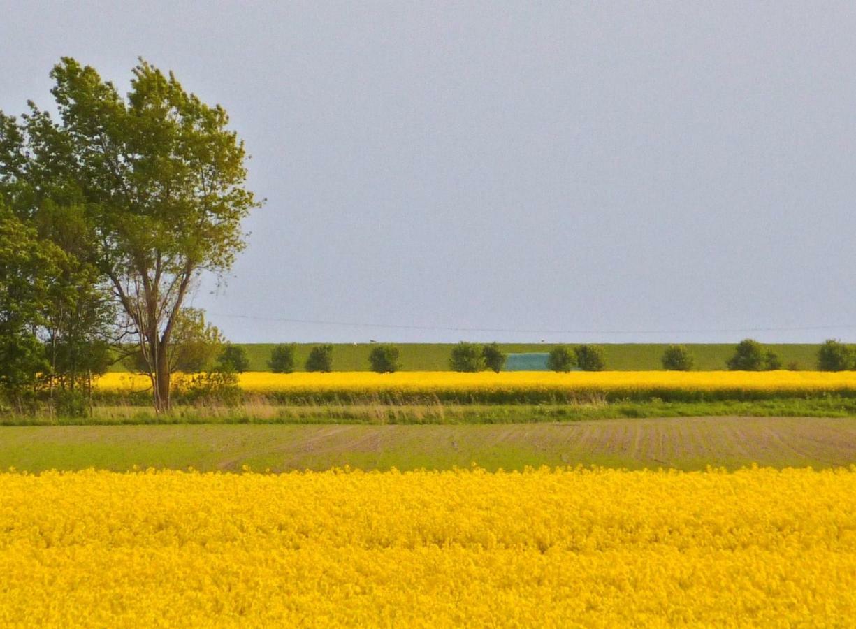 Wattenblick Büsum Extérieur photo